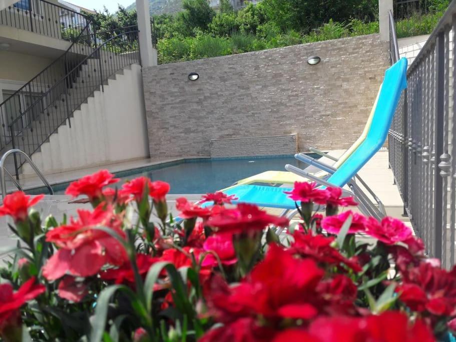 2Br Apartment With Pool Kotor Bagian luar foto